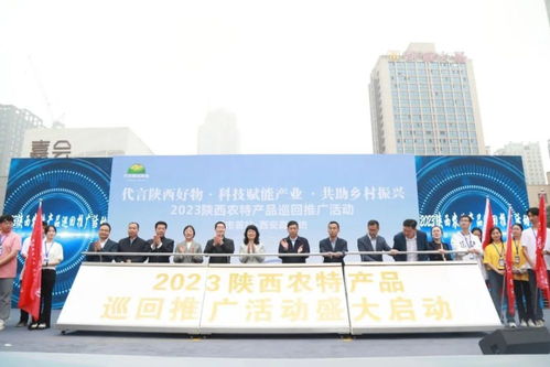 經開區企業石羊集團亮相2023陜西農特產品巡回推廣活動 當優質農業品牌遇見藝術策劃